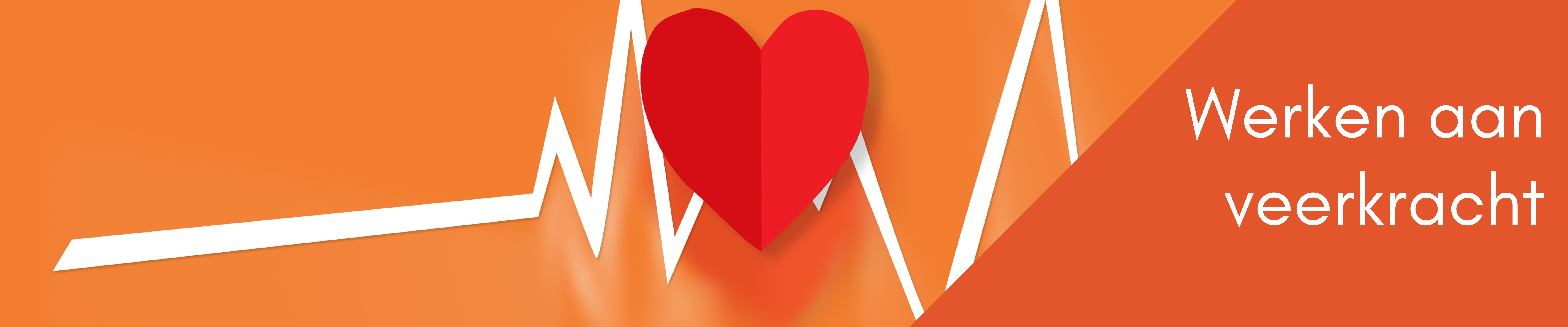 Coaching kop website veerkracht