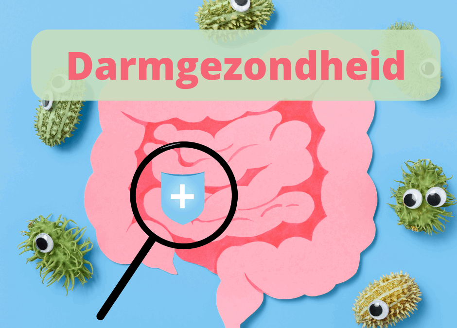 Je gezondheid begint in je darm